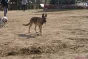 DSC01649.jpg