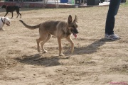 DSC01650.jpg