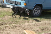 DSC01653.jpg