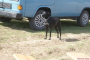DSC01655.jpg