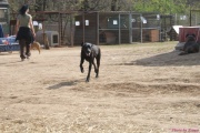 DSC01660.jpg