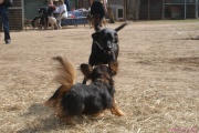 DSC01662.jpg
