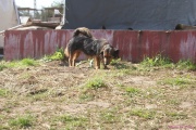 DSC01667.jpg