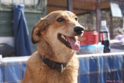 DSC01672.jpg
