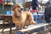 DSC01673.jpg