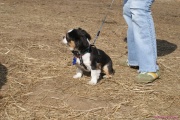 DSC01692.jpg