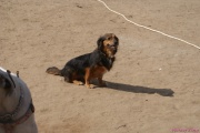 DSC01706.jpg