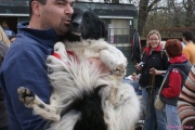 DSC01729.jpg