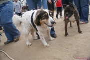 DSC01734.jpg