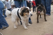 DSC01735.jpg
