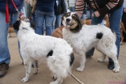 DSC01736.jpg