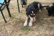 DSC01807.jpg