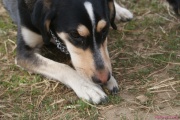 DSC01812.jpg