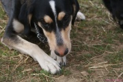 DSC01813.jpg