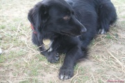 DSC01814.jpg