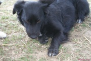 DSC01815.jpg