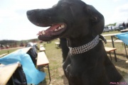 DSC01826.jpg