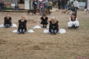 DSC01845.jpg