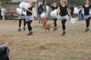 DSC01860.jpg