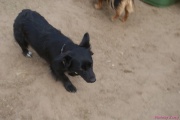 DSC01922.jpg