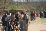 DSC01930.jpg