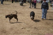 DSC01938.jpg