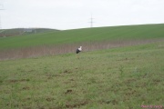 DSC01985.jpg