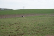 DSC01986.jpg