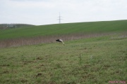 DSC01987.jpg