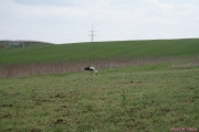 DSC01988.jpg