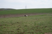DSC01989.jpg
