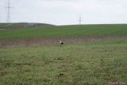 DSC01991.jpg