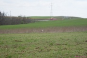 DSC01993.jpg