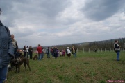DSC01994.jpg