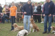 DSC02002.jpg
