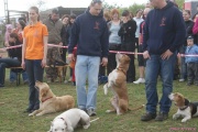DSC02004.jpg