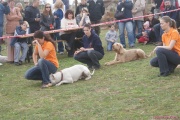 DSC02010.jpg