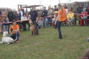 DSC02011.jpg