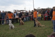 DSC02012.jpg