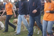 DSC02013.jpg