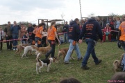 DSC02014.jpg