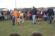 DSC02015.jpg