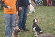 DSC02016.jpg