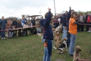 DSC02020.jpg
