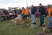 DSC02021.jpg