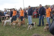 DSC02023.jpg