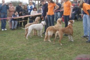 DSC02025.jpg