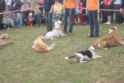 DSC02026.jpg