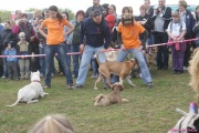 DSC02032.jpg