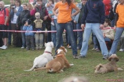 DSC02033.jpg